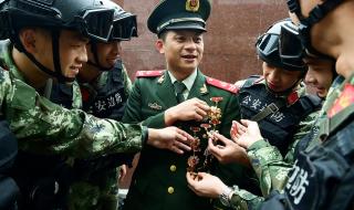 忠诚战士全部演员表 忠诚战士电视剧