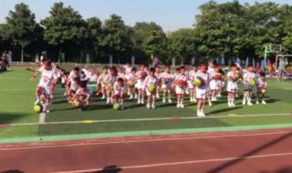 上海大学附属实验学校多大 上海教科院实验小学