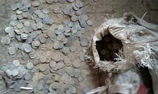 木加一笔有多少个字 木字加一笔有24个字