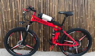 折叠电动自行车价格