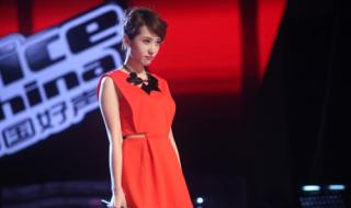 中国好声音的歌曲 中国好声音的歌曲